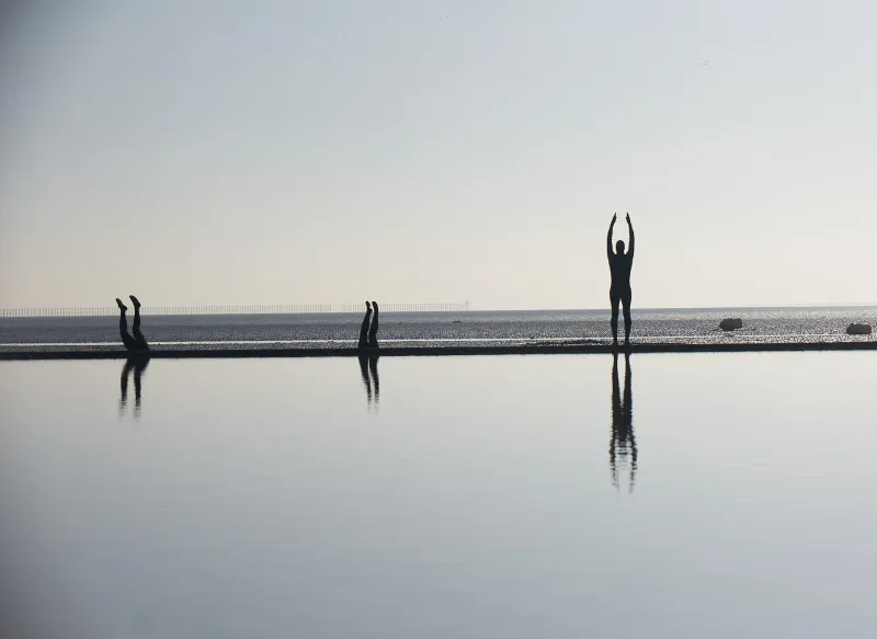 SILT: Call Out for Open Water Swimmers